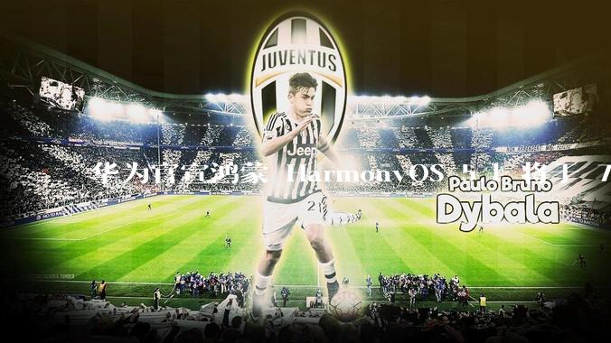 华为官宣鸿蒙 HarmonyOS 5.1 将于 7 月开启升级，对此你怎么看？会选择第一时间升级吗？